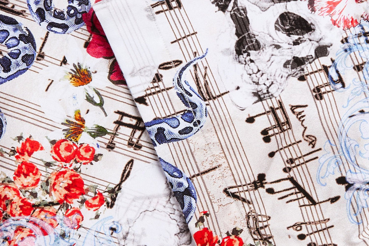 Music Collection - Blake Mill