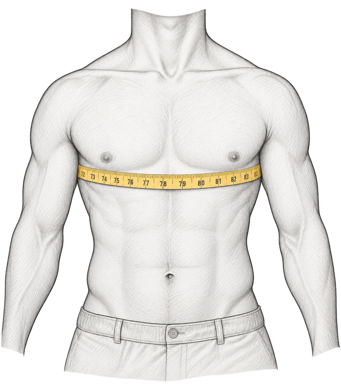 Measuring tape held horizontally around the chest, just below the underarms