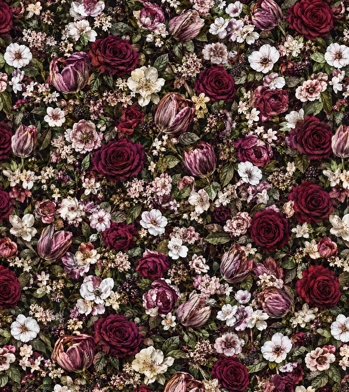 Name Of The Rose print design